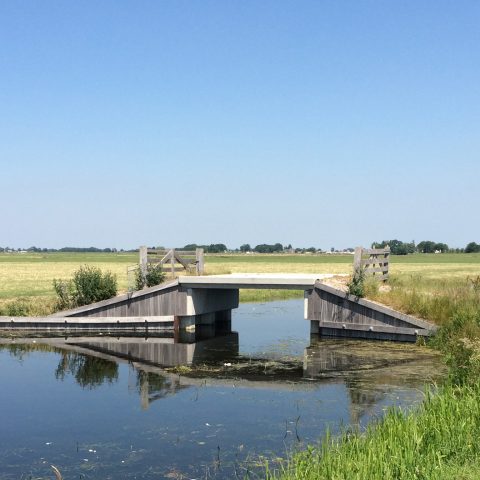 Natuurcompensatie in de Boterhuispolder Warmond